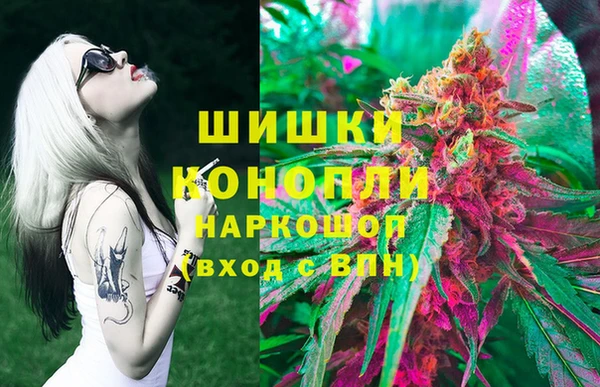 ГАЛЛЮЦИНОГЕННЫЕ ГРИБЫ Аркадак